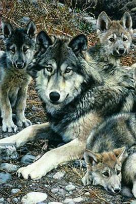 Den Mother (detail) art print by Carl Brenders