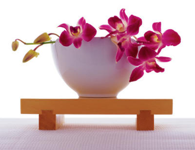 Magenta Orchid in White Bowl