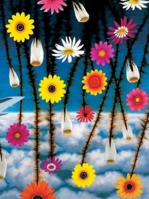View from 30000 art print by Armstrong