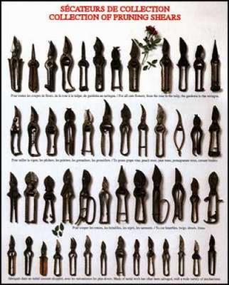 Collection of Pruning Shears art print by Atelier