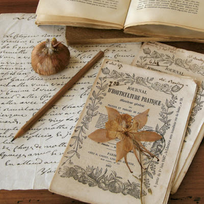 Autour d'un herbier