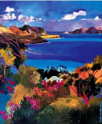 La c�te Saint Jean, St Barth�l�my art print by Catherine Th�odose
