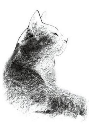 Cat's Head art print by De La Morinerie
