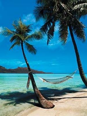 Seaside Hammock, Bora Bora, French Polynesia, South Pa art print by Faris