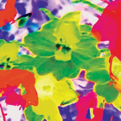 Fleur Fluo
