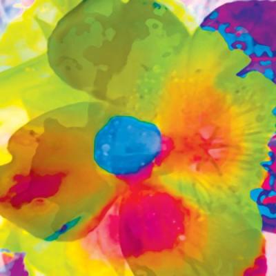 Fleur Fluo art print by Kosovsky