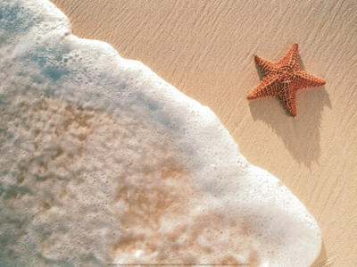 Starfish