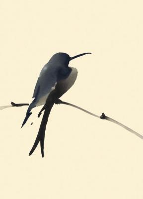 Petit oiseau
