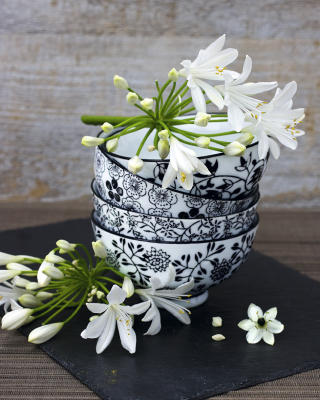 Fleurs sur bols