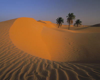 Algeria