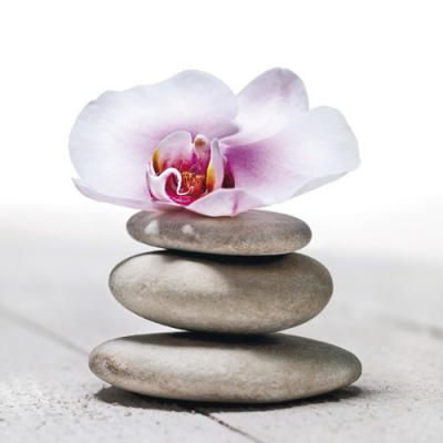 Orchid�es et galets
