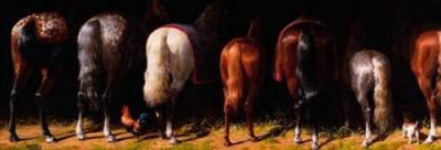 Board Of Directors art print by Jenness Cortez