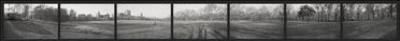 Great Lawn, Central Park art print by Allen Schill