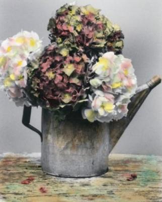 Antique Charm art print by Eleanor Abraham