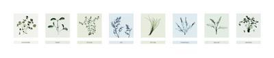 8 Herbs (Sm.) art print by Nina Farrell