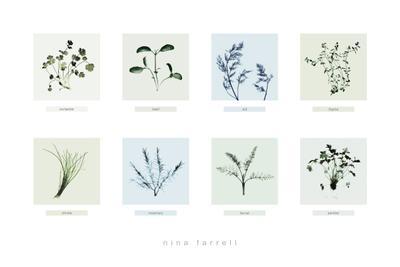 8 Herbs art print by Nina Farrell