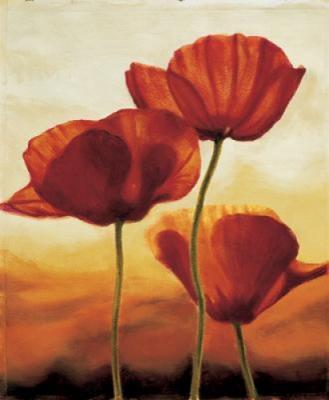 Poppies in Sunlight I