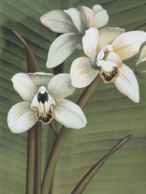 Orchid with Palm I art print by Andrea Trivelli
