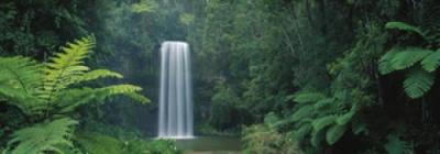 Millaa Millaa Falls, Queensland, Australia art print by Anonymous