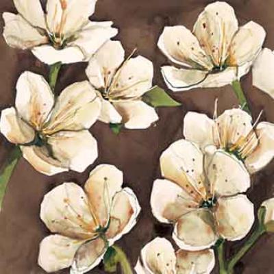 Fiori di ciliegio art print by Giuseppina Tartagni