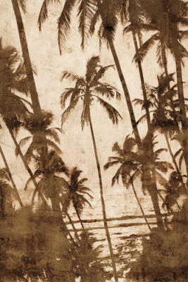 Trade Winds I art print by John Seba