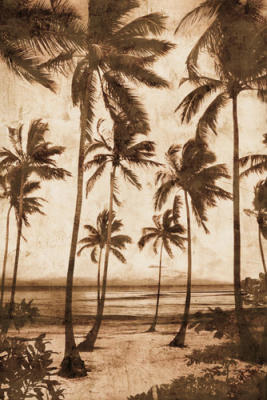 Trade Winds II art print by John Seba