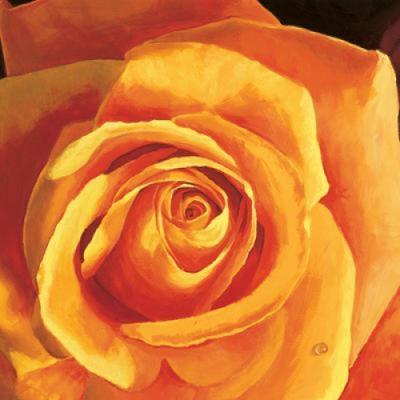 Armonia e dolcezza art print by Stefania Re