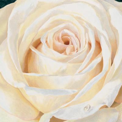Eleganza art print by Stefania Re