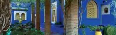 Jardin Majorelle art print by Alain Le Toquin