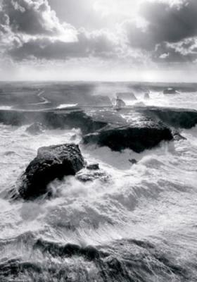 Lumi�re sur les Poulains art print by Guillaume Plisson