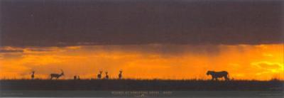 Sc�ne de chasse, Panthera leo, Masa�-Mara (Kenya) art print by Michel and Christine Denis-Huot