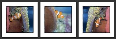 Trio Poisson clown art print by Nick Rain