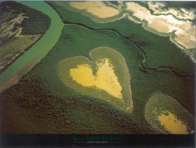 Coeur de Voh art print by Yann Arthus-Bertrand