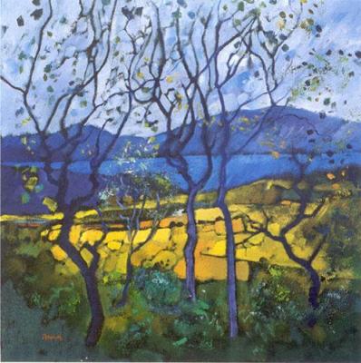 Arran from Kintyre art print by Davy Brown