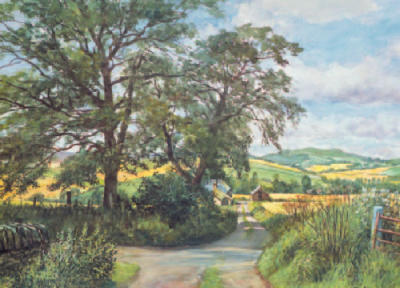 Midsummer Shadows art print by James McIntosh Patrick