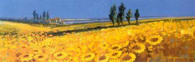 Yellow Fields, Tuscany art print by John Horsewell