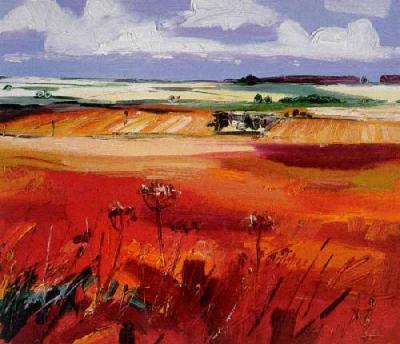 Perthshire Fields