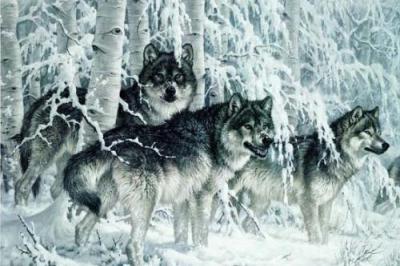 Crystal Forest (detail) art print by Larry Fanning