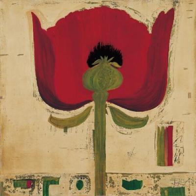 Bl�tenanatomie: Mohnblumen art print by Rose Richter-Armgart
