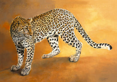 L�opard de Seronera art print by Danielle Beck
