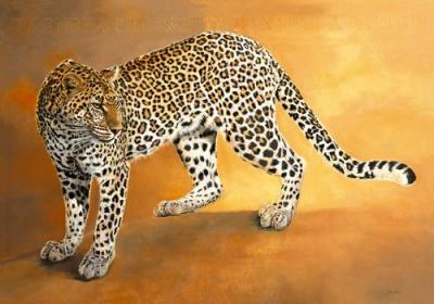 L�opard de Seronera art print by Danielle Beck