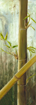 Rainforest I