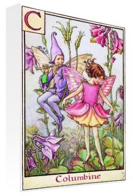 June - Columbine Fairy art print by Flower Fairies