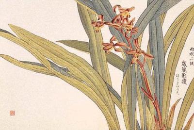 Brown Orchids art print by Kosikose