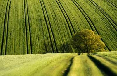 Parallel Lines art print by Roger Longdin