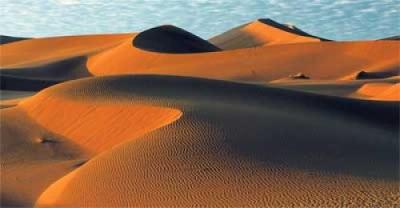 Sahara art print by Roger Longdin