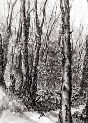 Railway Embankment art print by Susie Lipman