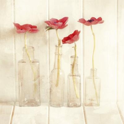 Anemones in Bottles art print by Ian Winstanley