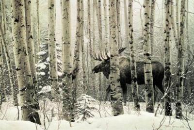 A Walk In The Woods art print by Stephen Lyman
