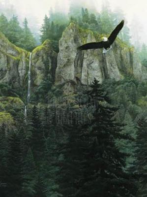 Silent Majesty art print by Stephen Lyman